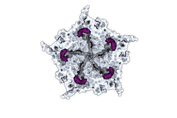 06sci-ai-virus-map-tbjh-articlel-1786415322487109283365-1786427801822-17864278020201953277840 Trí tuệ nhân tạo tự thiết kế vi-rút sinh học mới: Bước tiến công nghệ hay hiểm họa khó lường? - Ảnh 1.