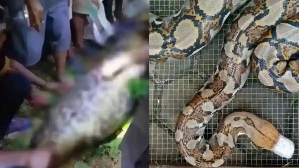 Trường Hợp Kỳ Lạ Tại Indonesia: Người Đàn Ông Mất Tích Sau Khi Đặt Chân Trên Con Đường Về Nhà