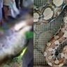 Trường Hợp Kỳ Lạ Tại Indonesia: Người Đàn Ông Mất Tích Sau Khi Đặt Chân Trên Con Đường Về Nhà