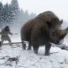 Khám Phá Người Neanderthal: Những Chiến Binh Cổ Đại Bị Hiểu Lầm