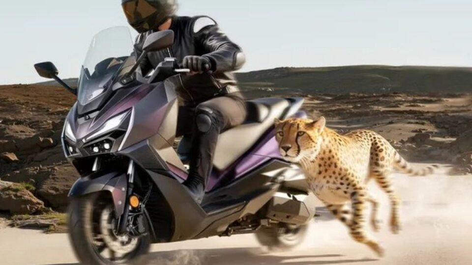 SYM JEPARDO 300: Maxi-scooter 278cc với hệ thống phanh cua và loạt tính năng an toàn