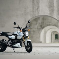 Honda MSX GROM 2027: Mẫu mini-bike rằn ri trắng, trang bị đậm chất đường phố
